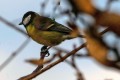 img_2012 01 - copie